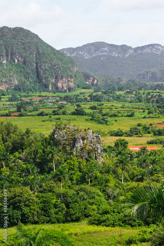 The Viñales valley in Cuba, a famous tourist destination