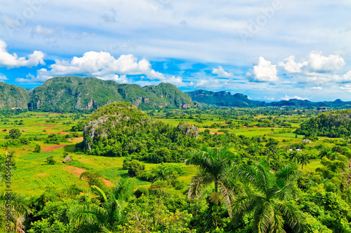 Картината върху платно The Vinales valley in Cuba, a famous tourist destination