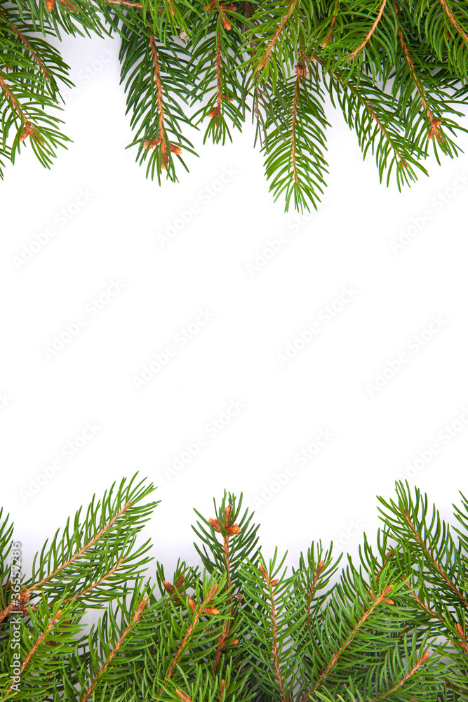 Christmas green  framework