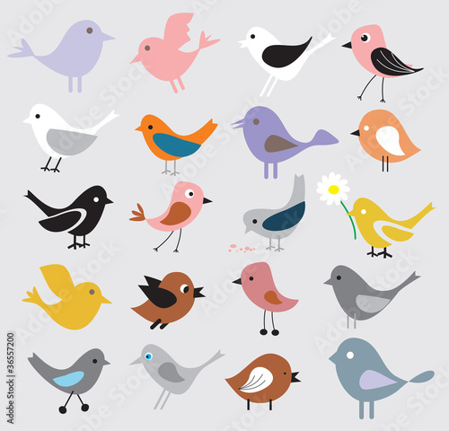 birds background