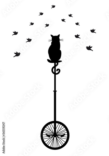 cat on monocycle with birds, vector