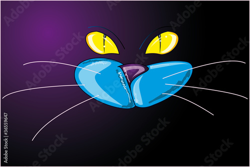 Gatto