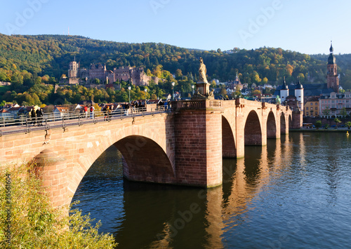 Castle and the Old Town in Heidelberg, Germany