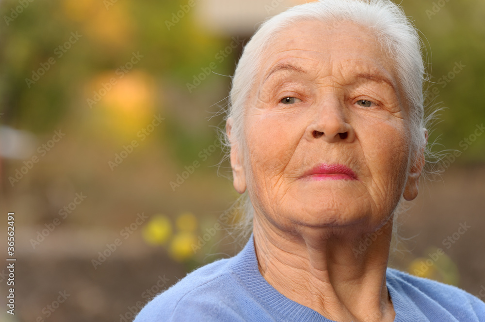 Portrait of the elderly woman Portrait of the elderly woman