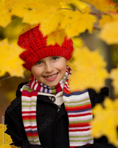 Autumn - cute girl in autumn leaves portrait