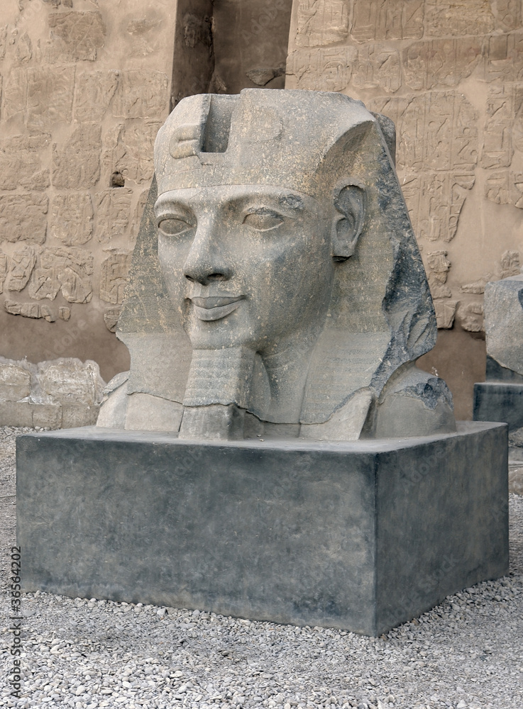 Fototapeta premium sculpture at Luxor Temple in Egypt