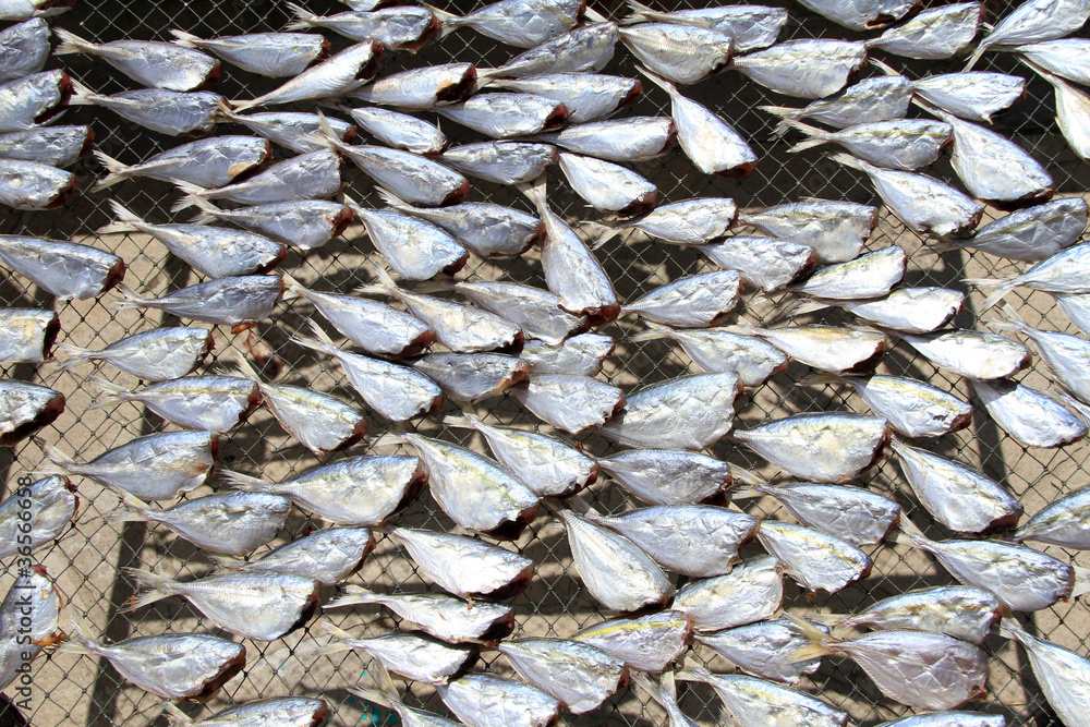 Naklejka premium Headless fish