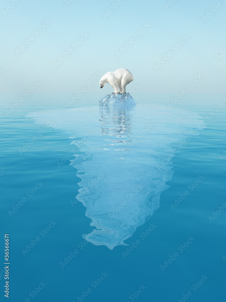 Fototapeta premium last polar bear on iceberg