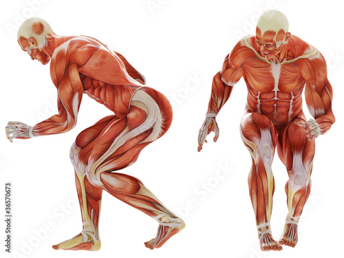 muscle man crouched