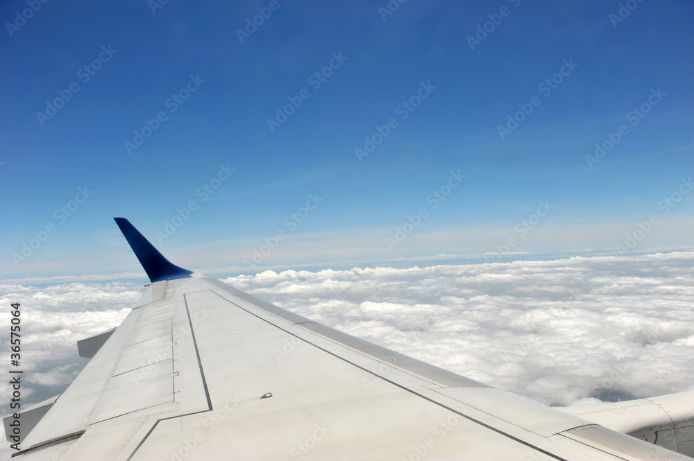 wing of an airplane