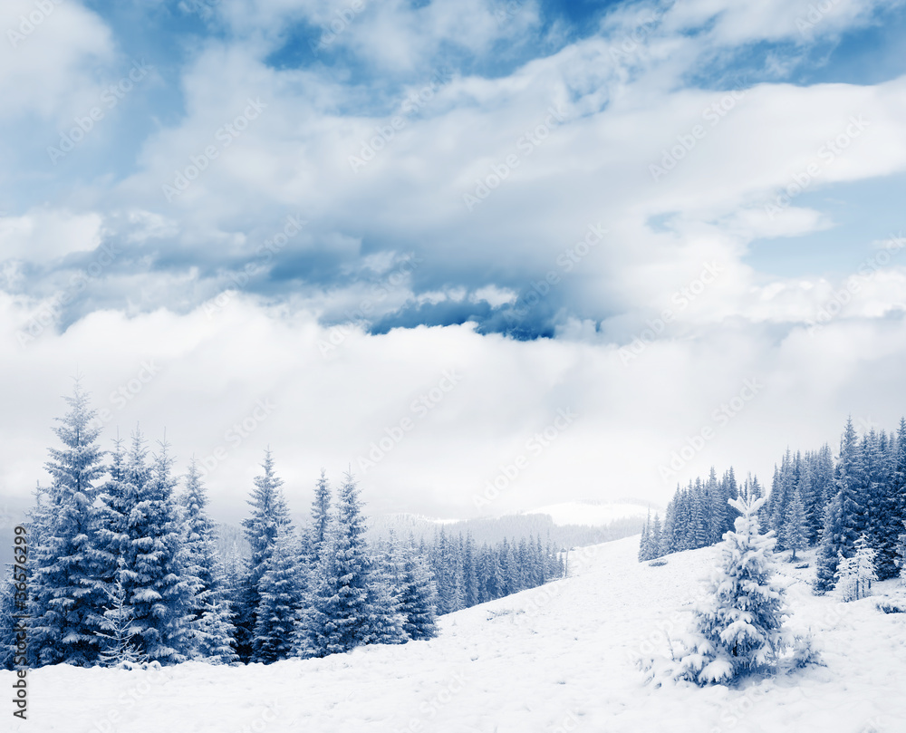 Winter Winter