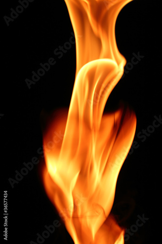 burning torch of fire