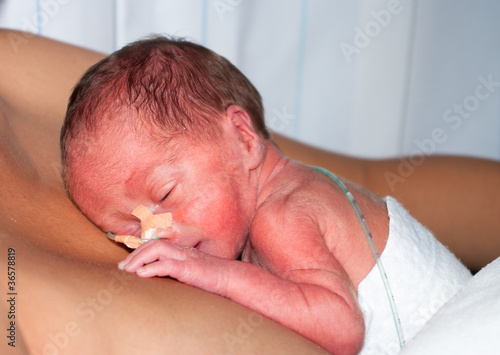 Cuadro en lienzo premature baby
