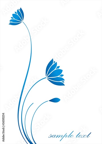 Fototapeta Naklejka Na Ścianę i Meble -  water lily plant, background,India