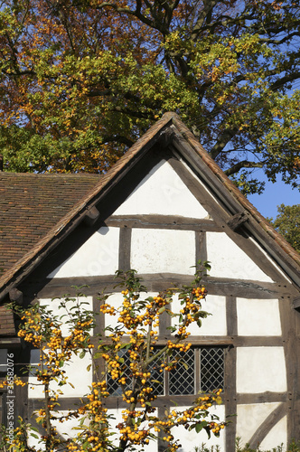 half timbered buildings photo