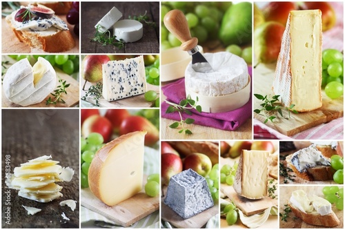 Cheese Collage
