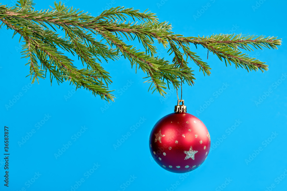 fir branches and Christmas ball fir branches and Christmas ball
