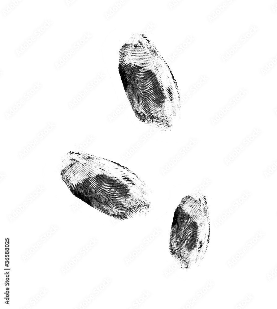 Naklejka premium Fingerprints