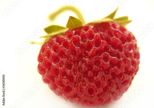 Strawberry;