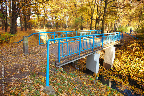Blue bridge in the forest