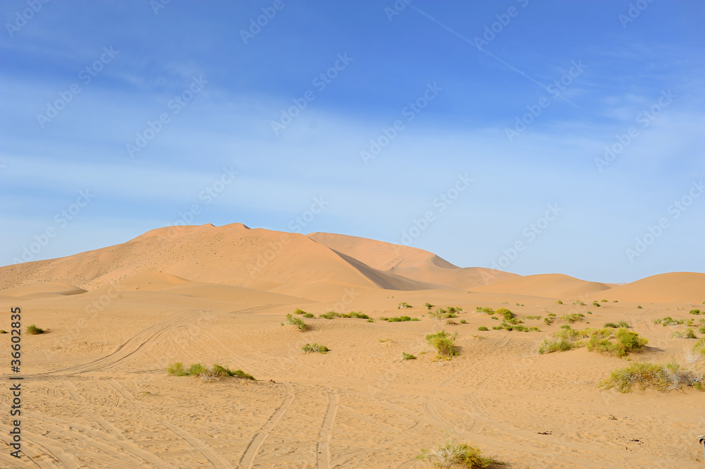 Fototapeta premium desert dune silhouette background