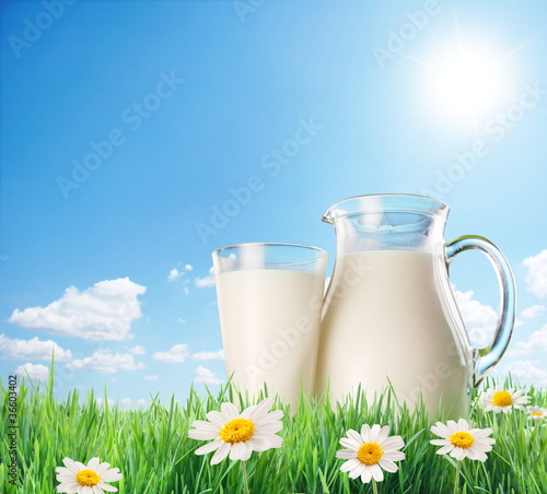 Milk jug and glass on the grass with chamomiles. On a background photo