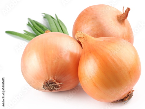 Onion on a white background