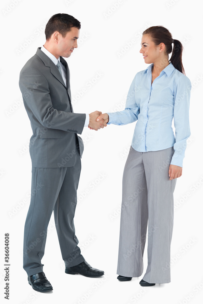 Business partner shaking hands against a white background Business partner shaking hands against a white background