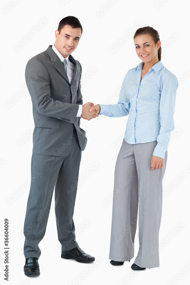 Business partner greeting each other against a white background Business partner greeting each other against a white background