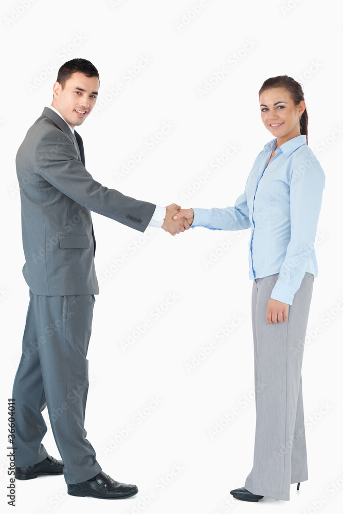Business people shaking hands against a white background Business people shaking hands against a white background