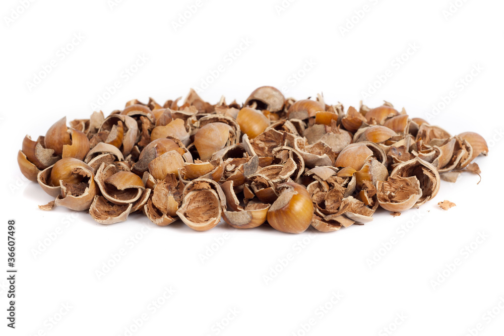 nut shells nut shells