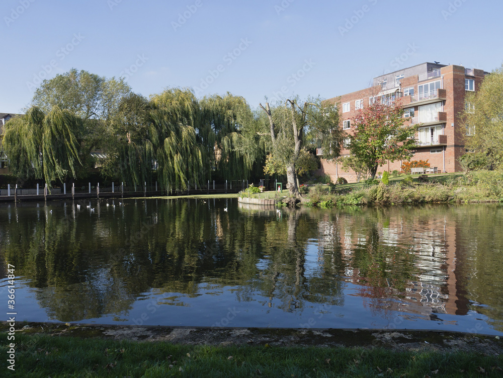 Fototapeta premium flats apartments