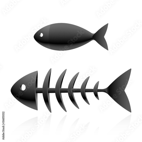 Fish skeleton