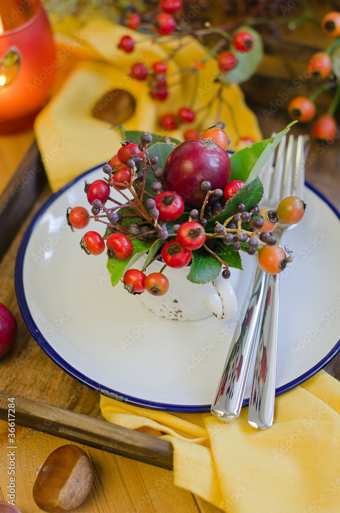 Herbstlich gedeckter Tisch Stock-Foto | Adobe Stock