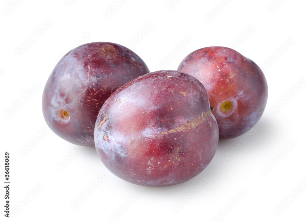 Three plums isolated