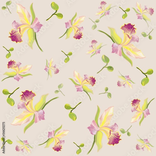 Wallpaper Mural Seamless background from a flowers ornament Torontodigital.ca