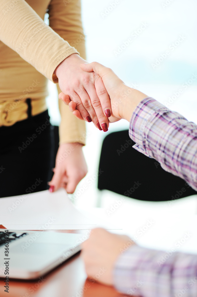 Closing a successful deal with a handshake.