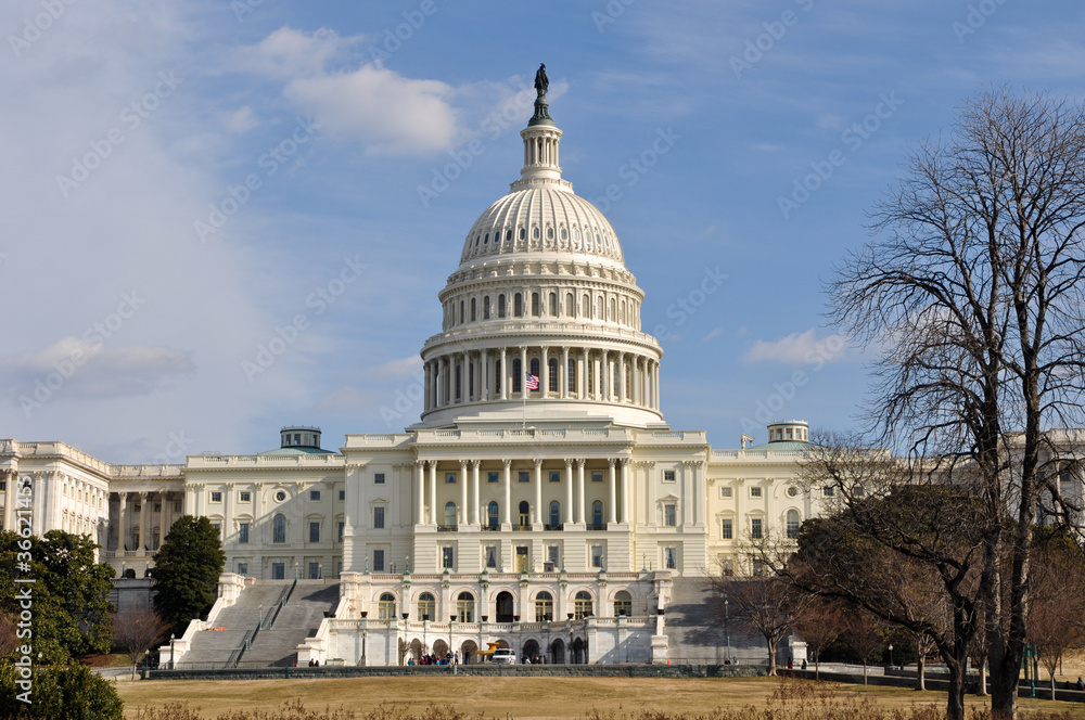 Naklejka premium Washington DC Capitol Hill Building