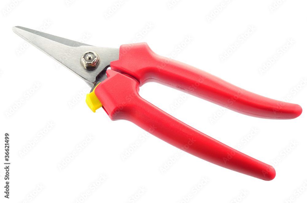 red scissors isolated on white background red scissors isolated on white background