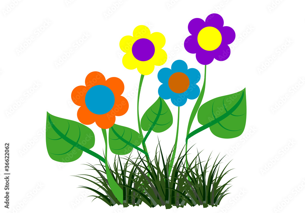 Fototapeta premium Flowers on the meadow