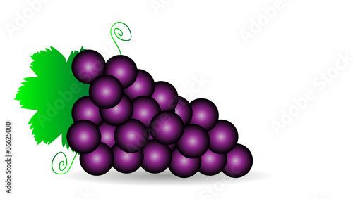 Purple grapes