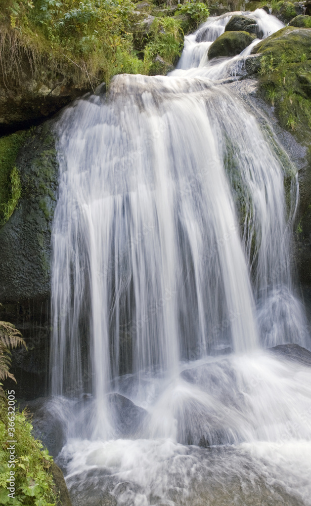 idyllic Triberg Waterfalls