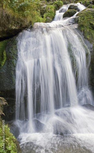 idyllic Triberg Waterfalls © PRILL Mediendesign