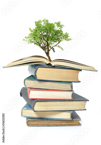 Tree growing from book