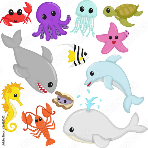 Marine wildlife animals