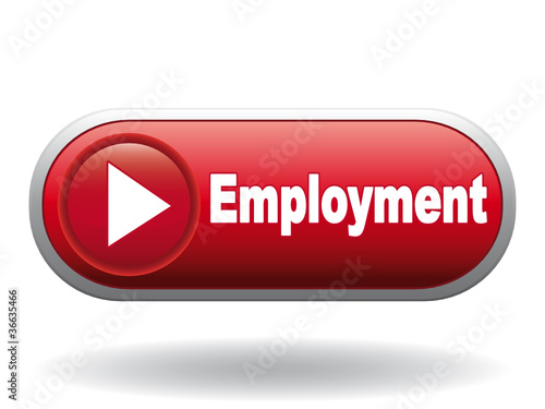 EMPLOYMENT ICON