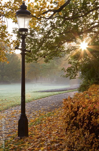 Lamppost at walkway in autumn.