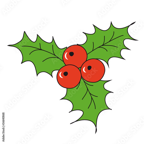 Weihnachtsdeko Mistelzweig