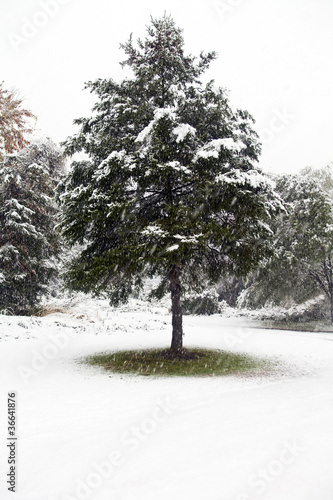 First Snow of Winter