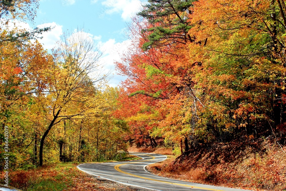 Naklejka premium Autumn drive